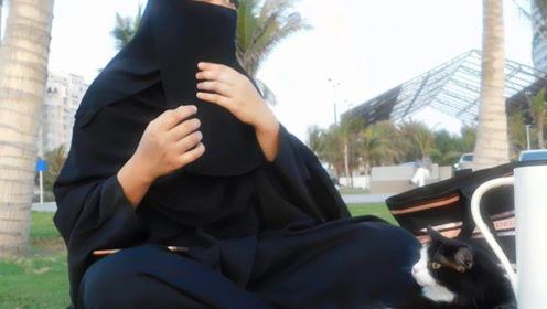 娱乐吃瓜君虐猫